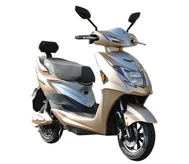 1000W-2000W Electric Scooter