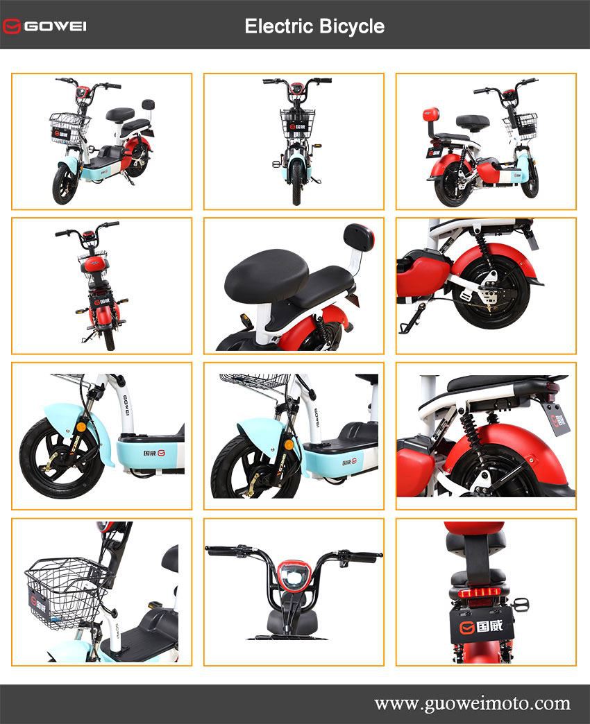 product-1-1 Adult Electric Bicycles