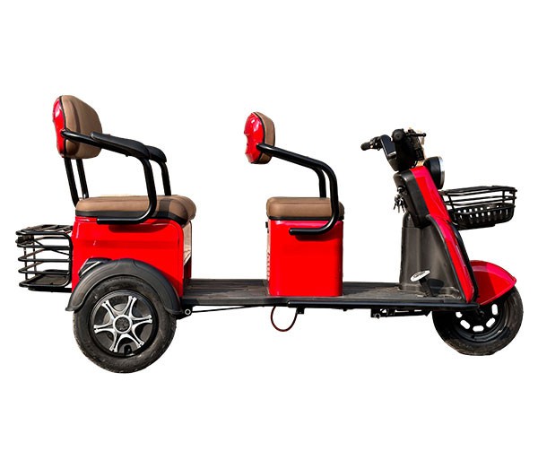 Electric Mobility Trike