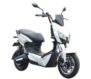 500w Electric Scooter