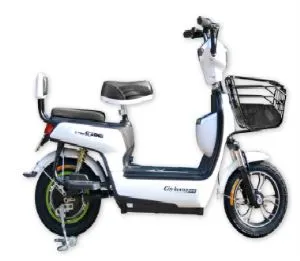 Small Motor Electric Bicycle