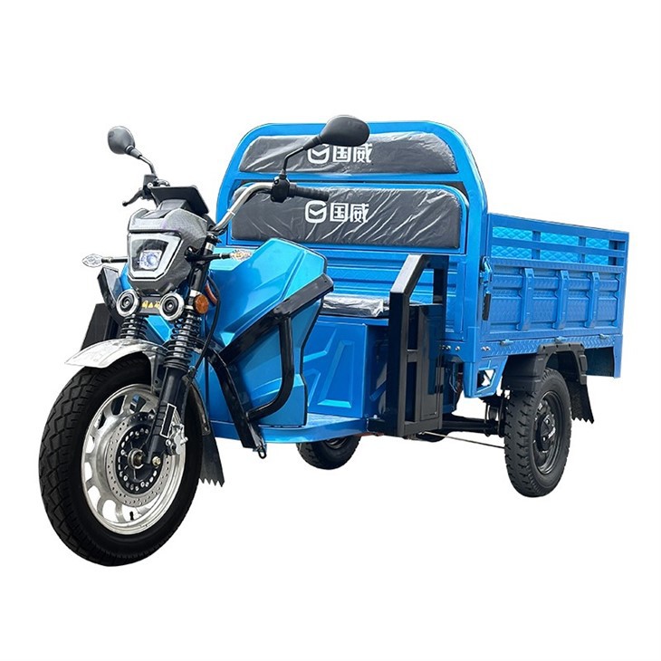 Hot-selling Highly Efficient Mexico 3 Wheel Electric Tricycle 2 Passenger Electric Tricycle Drift Electric Tricycle