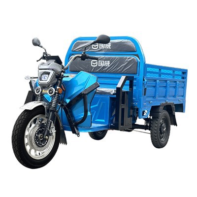 Hot-selling Highly Efficient Mexico 3 Wheel Electric Tricycle 2 Passenger Electric Tricycle Drift Electric Tricycle