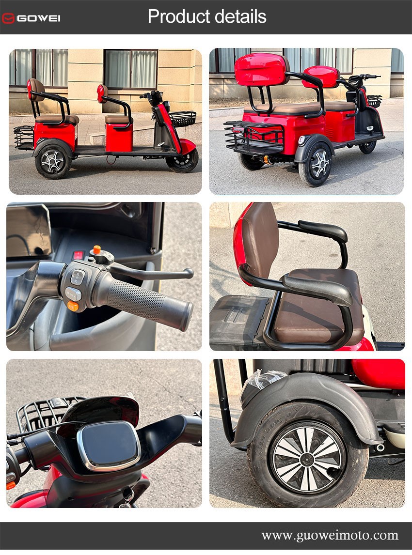 Electric Mobility Trike