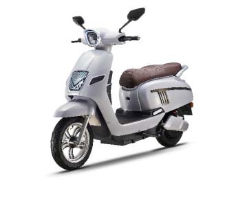 Adult Electric Scooters