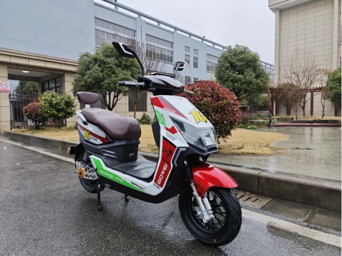Adult electric scooter Adult electric scooter