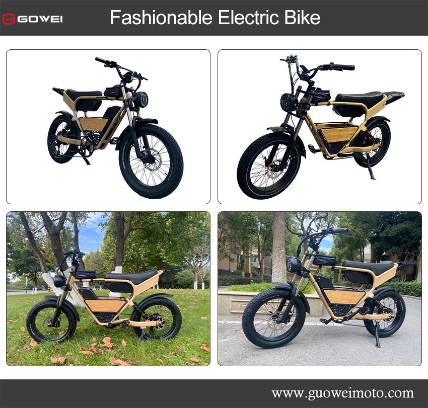 Fashionable Electric Bike