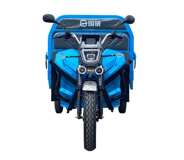 Electric Trikes